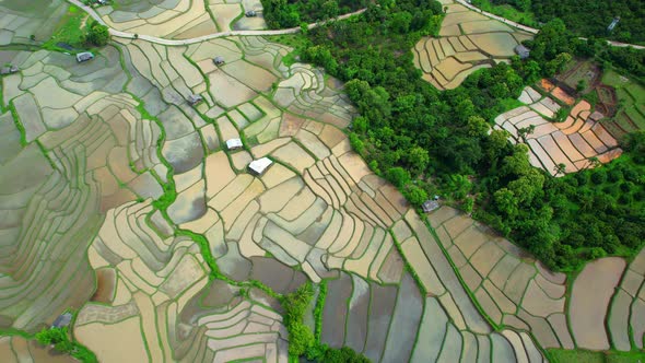 Aerial drone of Rice terraces and fields