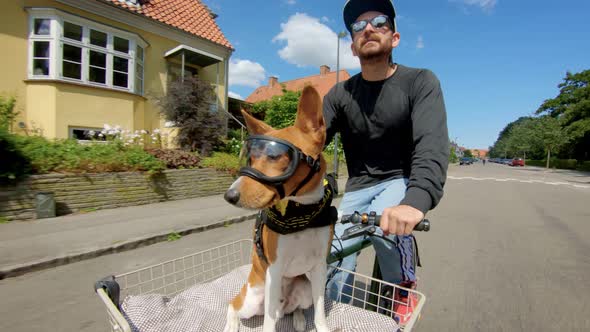 Cute Puppy in Goggles in Bicycle Basket