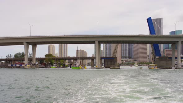 Bridges in Miami