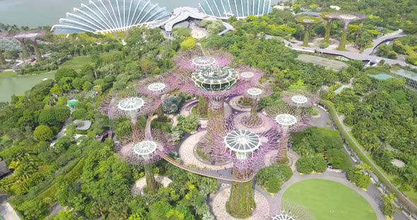 Aerial Footage of Supertree Grove Done By Drone Going Above the Giant Trees, Gardens By the Bay