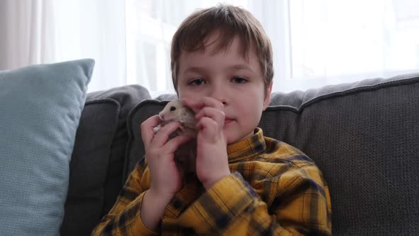 Little Boy Holding a Cute Fluffy Hamster