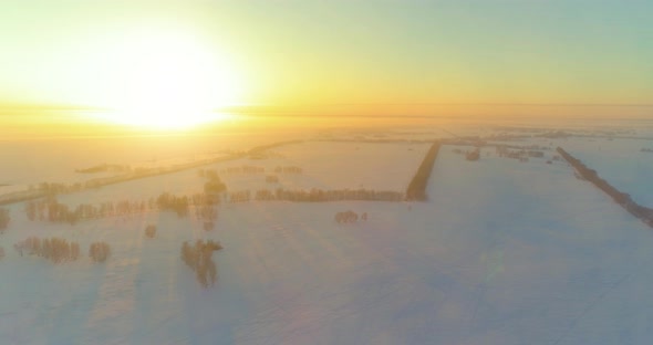 Aerial Drone View of Cold Winter Landscape with Arctic Field Trees Covered with Frost Snow and