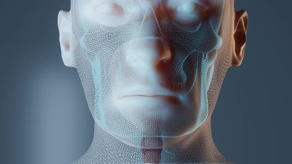 Stomach Anatomy in Male Body alt