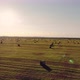Aerial Shot Beautiful Sunset and Hay Bales on the Field After Harvest - VideoHive Item for Sale