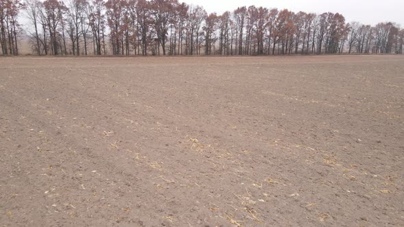 Land in a Plowed Field in Autumn