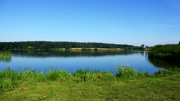 Lake with Grass on the Shore - Forest (Trees) in Background - Sunny Day