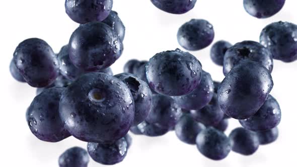 Flying of Blueberries in White Background with Alpha Channel