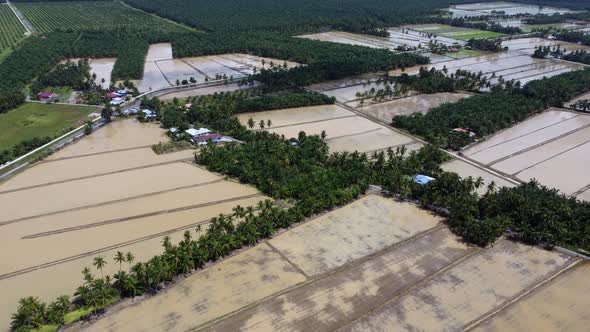 Aerial water cultivation season surrounded by oil palm