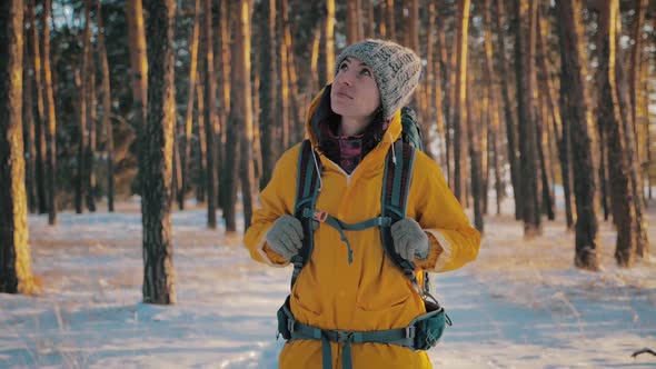 Young Travel Backpacker Woman with Backpack Walking in Snowy Winter Pine Forest