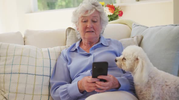 Senior caucasian woman using smartphone sitting on sofa in living room with her pet dog in slow moti