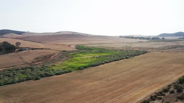 Aerial Shot of Trees, Crop Fields and Mountain Silhouettes