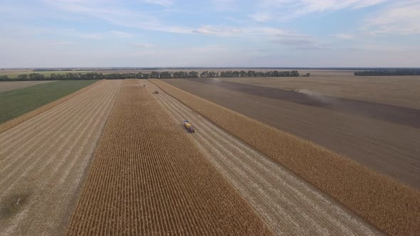 Tractors And Harvesters On Harvest Field