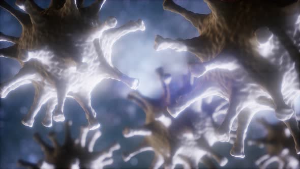 Loop Rotation of Coronavirus COVID-2019 alt