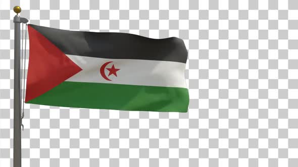 Western Sahara Flag on Flagpole with Alpha Channel