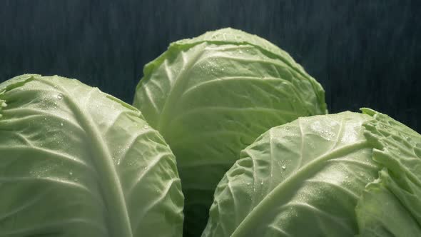 Lettuce Vegetables Are Washed In Fine Spray