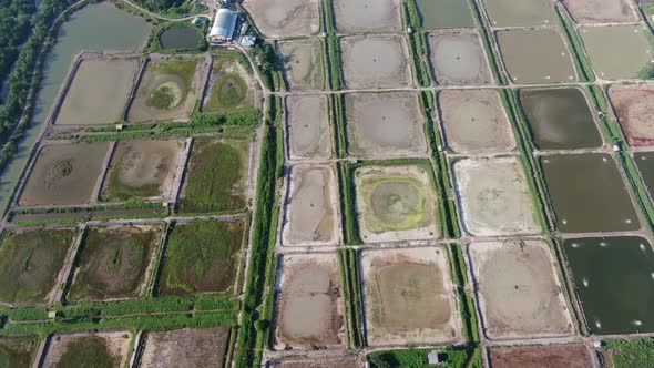 Prawn Fish Farm Aerial