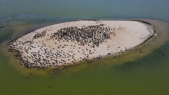 Gimbal focus and spin over bird island.