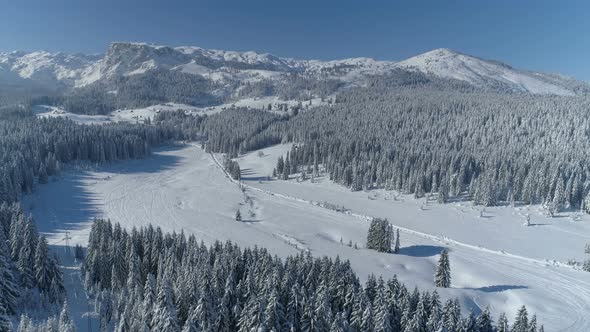 Flight Over the Snowcovered Spruce Forest with Mountains in the Background