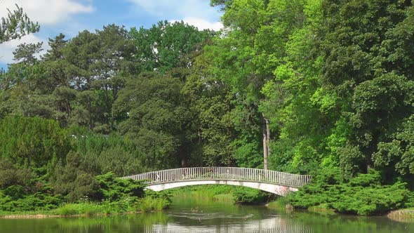 Park & pond