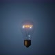 Light bulb with energy text inside. - VideoHive Item for Sale