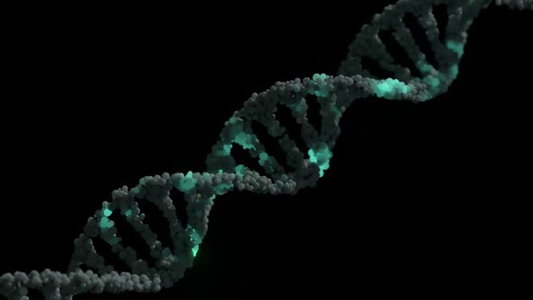 DNA Strand Double Helix Looped Animation alt