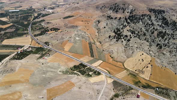 The drone's flight over the fields of gold, the green edges of the road along which cars drive. Pano