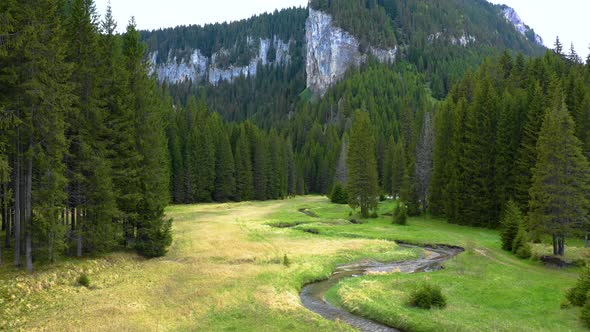 Mountain forest river valley with green meadow. Altai mountains Siberia.