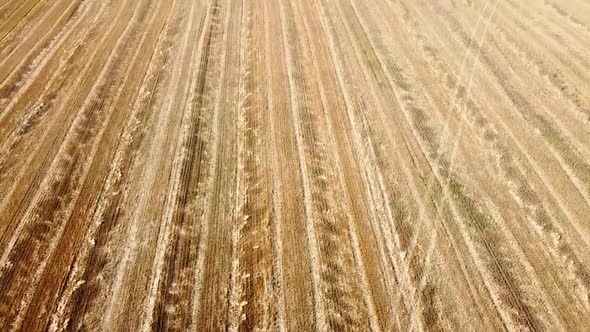 Aerial drone view of a flying over the rural agricultural landscape.