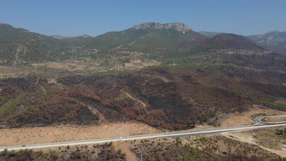 Burnt Fire Forest Aerial