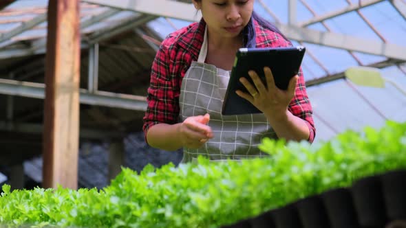 Happy Asian woman caring for plants prepared for sale.