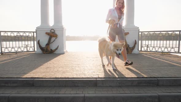 Young woman walking her cute Akita Inu dog in park on sunny day. Lovely pet