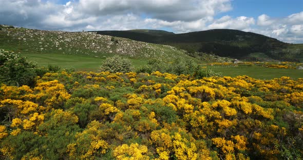 The national park of Cevennes, col de niel, Mont Lozere, France