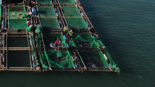 Unrecognizable people working on floating fishing farm in blue ocean, aerial view