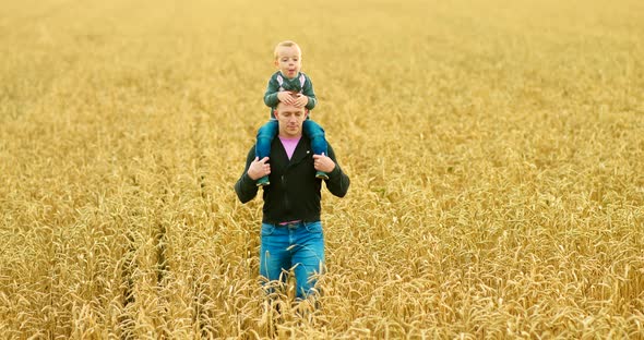 Young Dad Walks with His Son in the Field the Father Carefully Carries His Son on His Shoulders