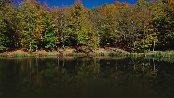 Aerial Drone Zoom Out of Autumn Forest Trees Near Gosh Lake in Armenia