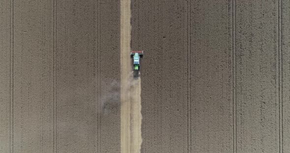 Combine harvester, harvest wheat on the field. Aerial drone view