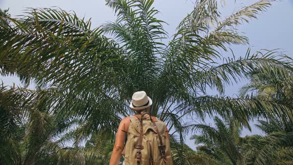 Woman Tourist with Plait Walks Looking Around at Growing Young Trees with Lush Leaves at Oil Palm