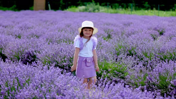 a Girl Walking in a Lavender Field