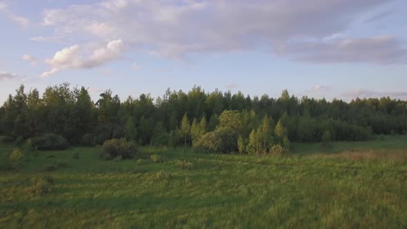 Aerial View of Green Forest with Different Trees, Grass Field Against Blue Sky in Daylight