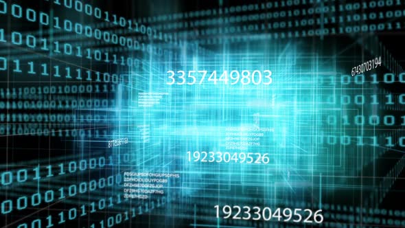 Digital code network rendering