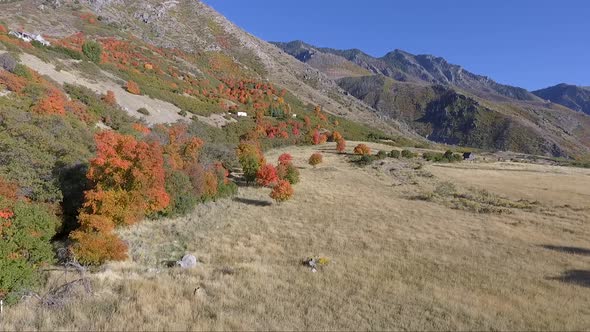 A drone captures aerial footage of an alpine meadow in the fall as tree leaves change color into bri