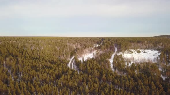 Winter Empty Country Forest Road