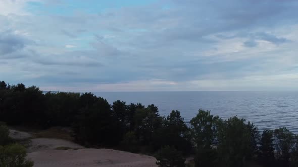 drone flight over trees overlooking the sea and sky with rain clouds