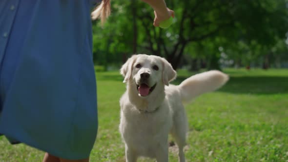 Happy Dog Playing with Active Kid on Nature