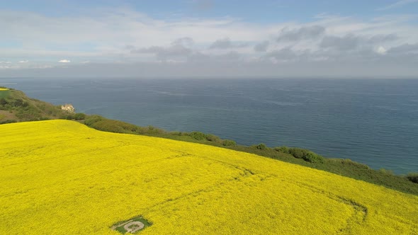 Aerial flying over Longues sur Mer rapeseed field. Atlantic wall, Normandy