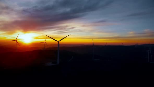 Windmills Sunset