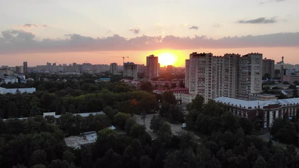 Sunset. Forest. Trees. Foliage.