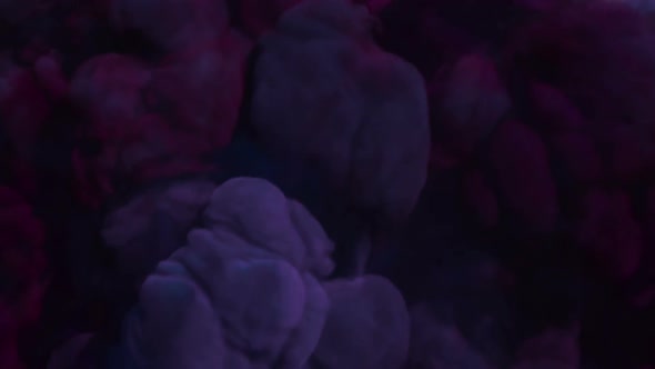 Crimson Smoke Transition alt