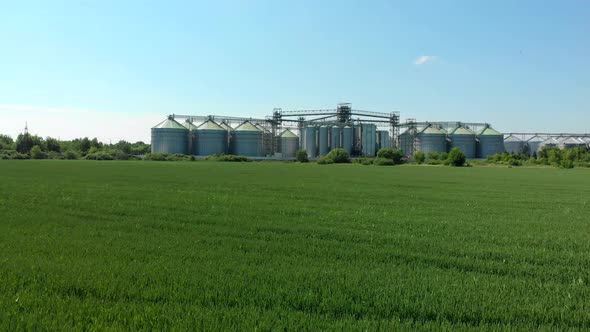 Green Field on the Background of Grain Elevators