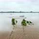 Flood on river Maas / Grevenbicht, Limburg, Netherlands - VideoHive Item for Sale